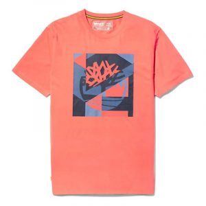 TIMBERLAND COASTAL COOL GRAPHIC LOGO PRINT T-SHIRT TB0A2DNJ-801-TANGERINE